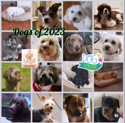 Dogs of 2023