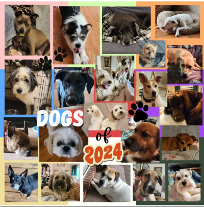 Dogs of 2024